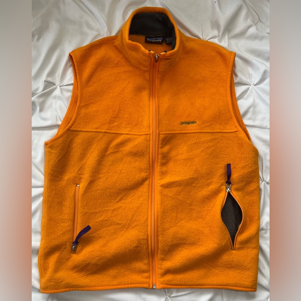 Patagonia Synchilla Fleece Vest
